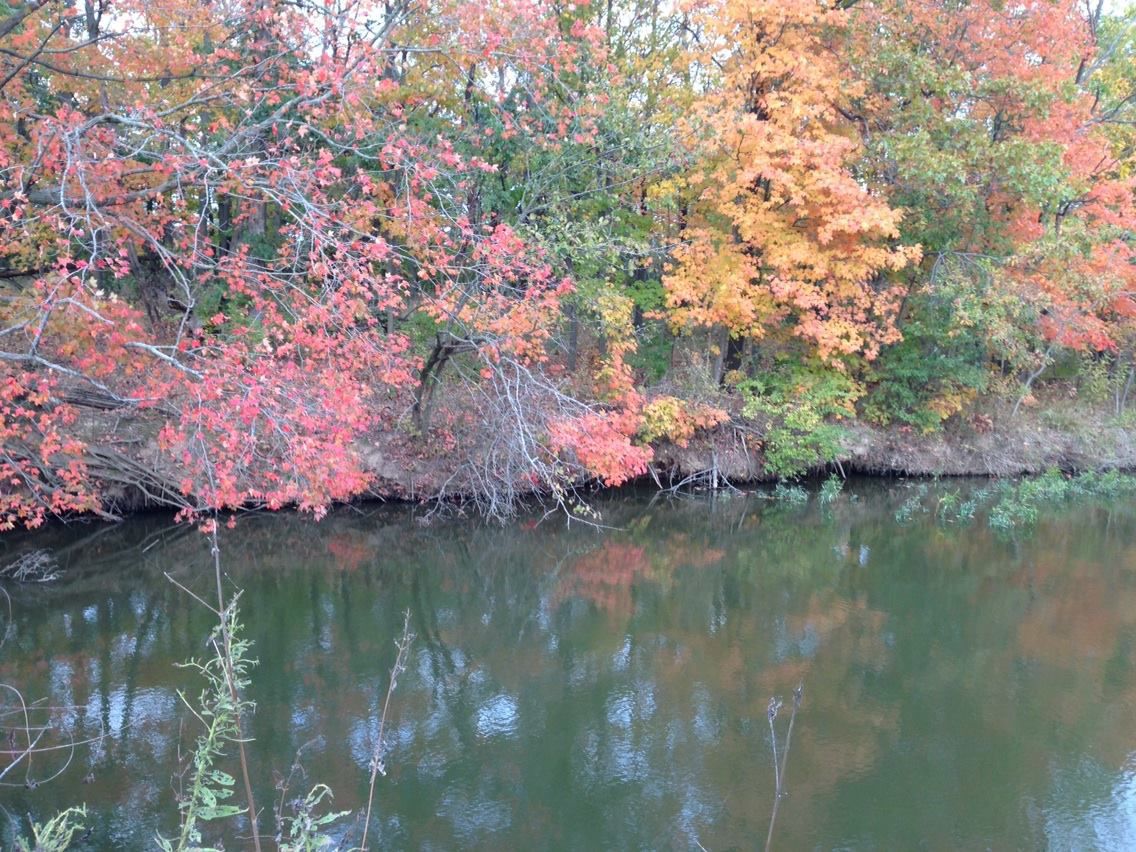 2017: Scenic Lake